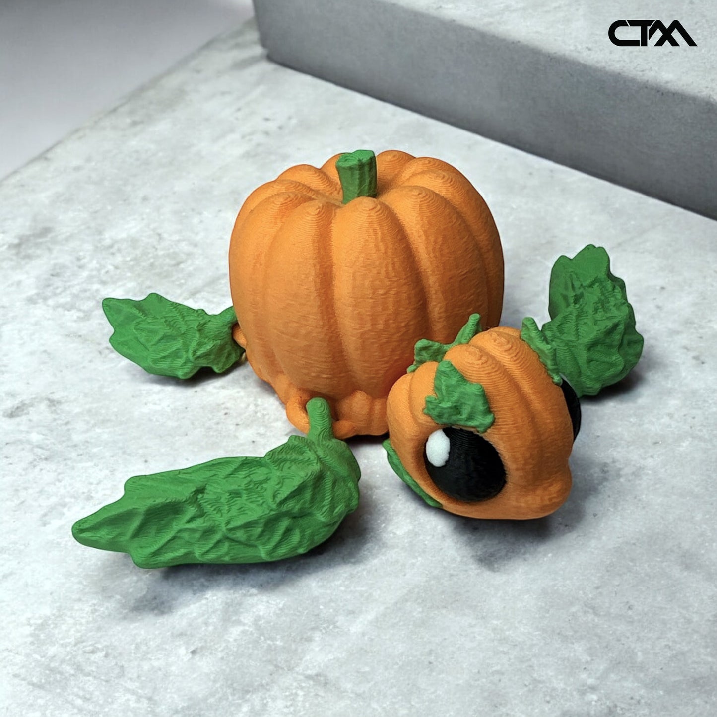 Pumpkin Turtle