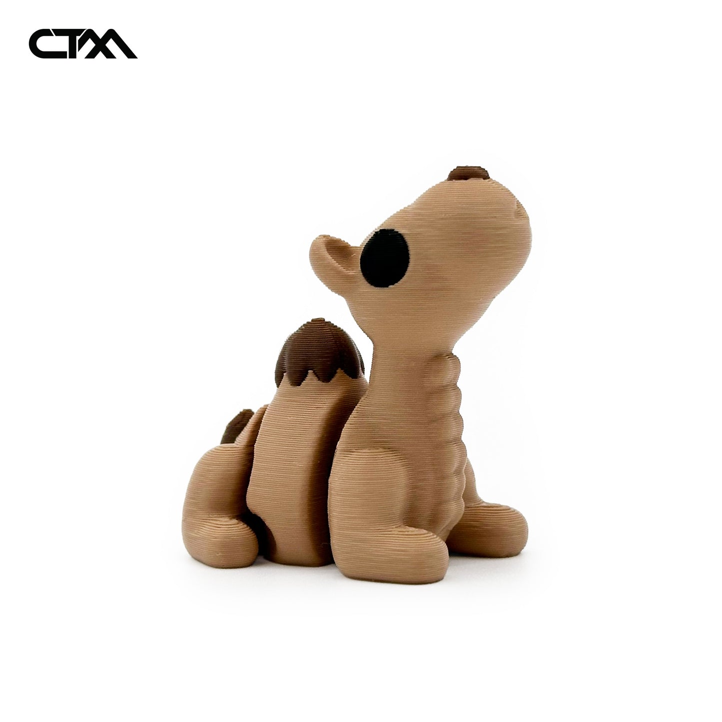 Camel