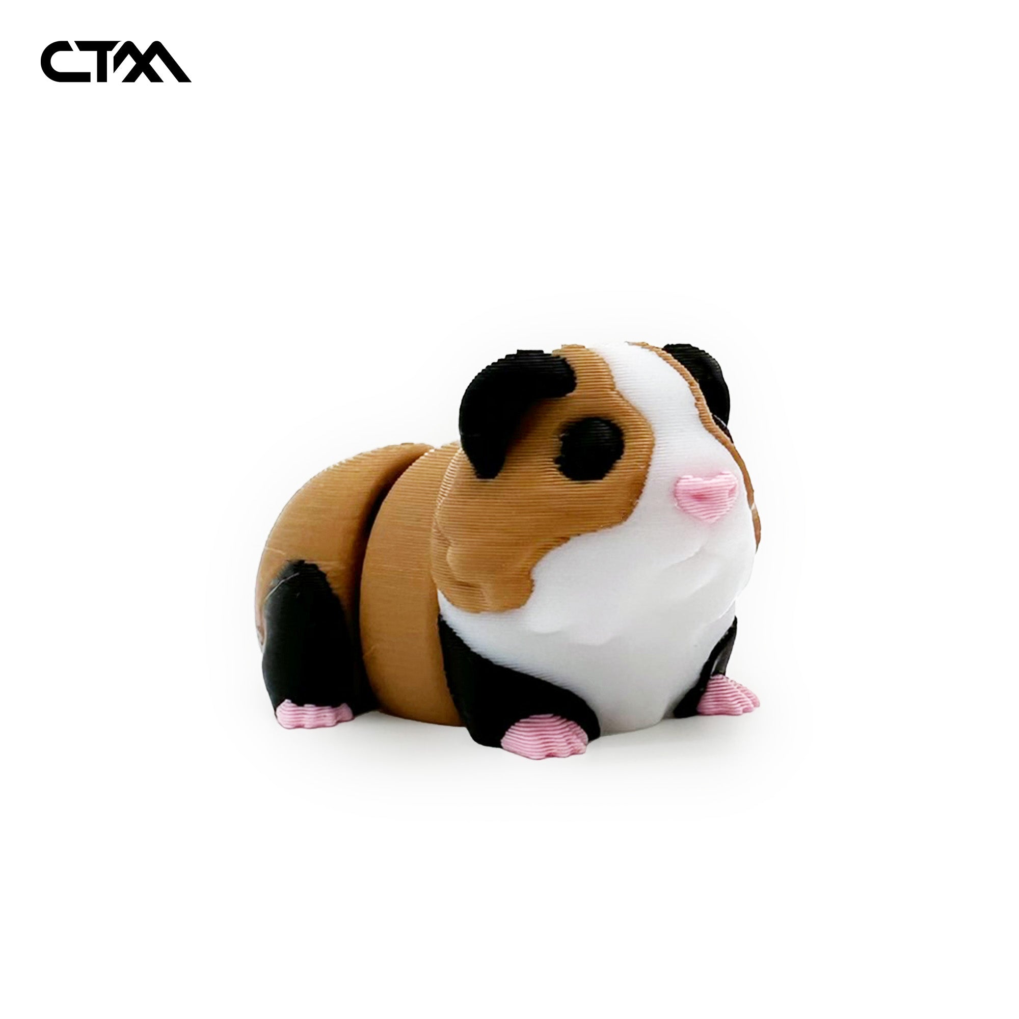 Guinea Pig