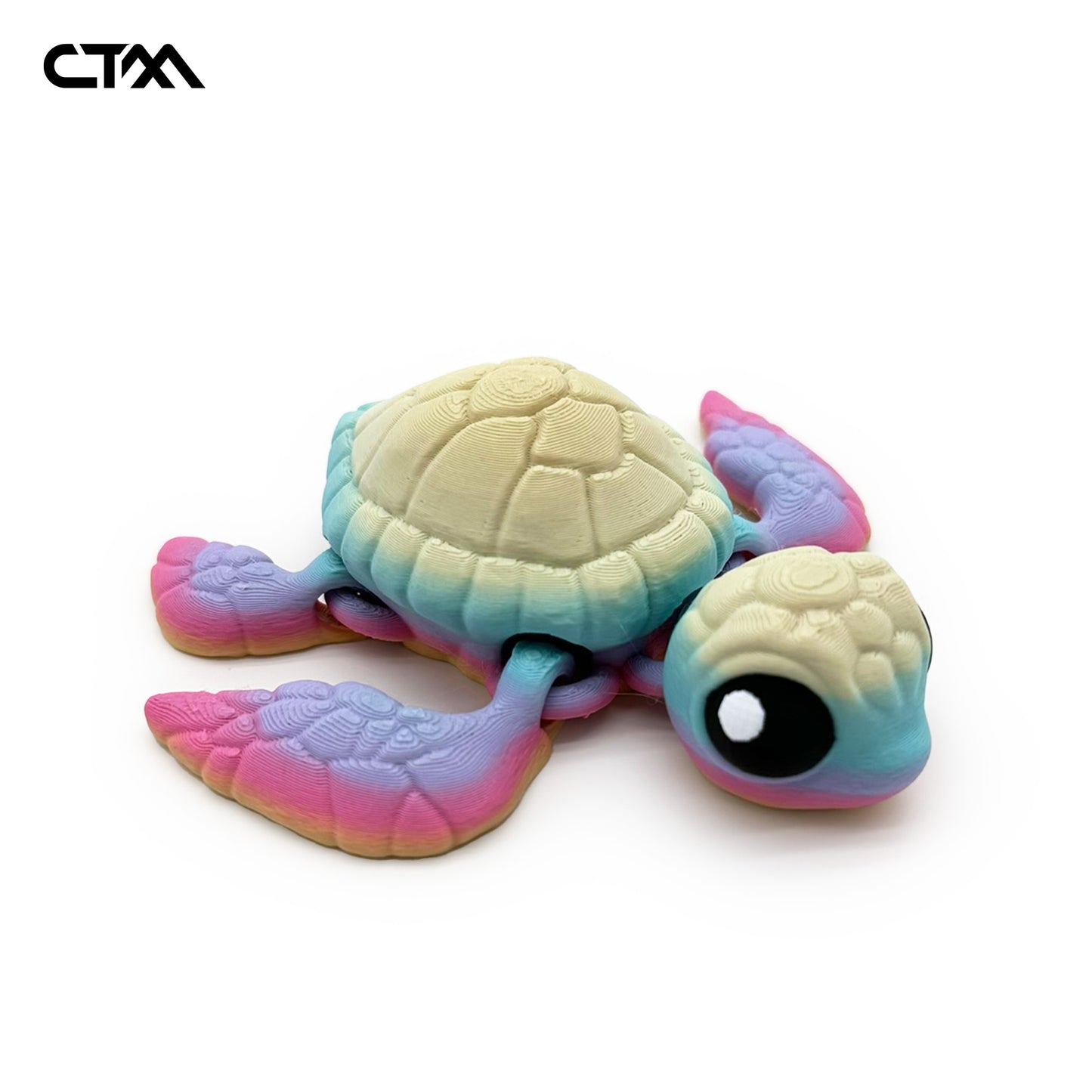 Sea Turtle