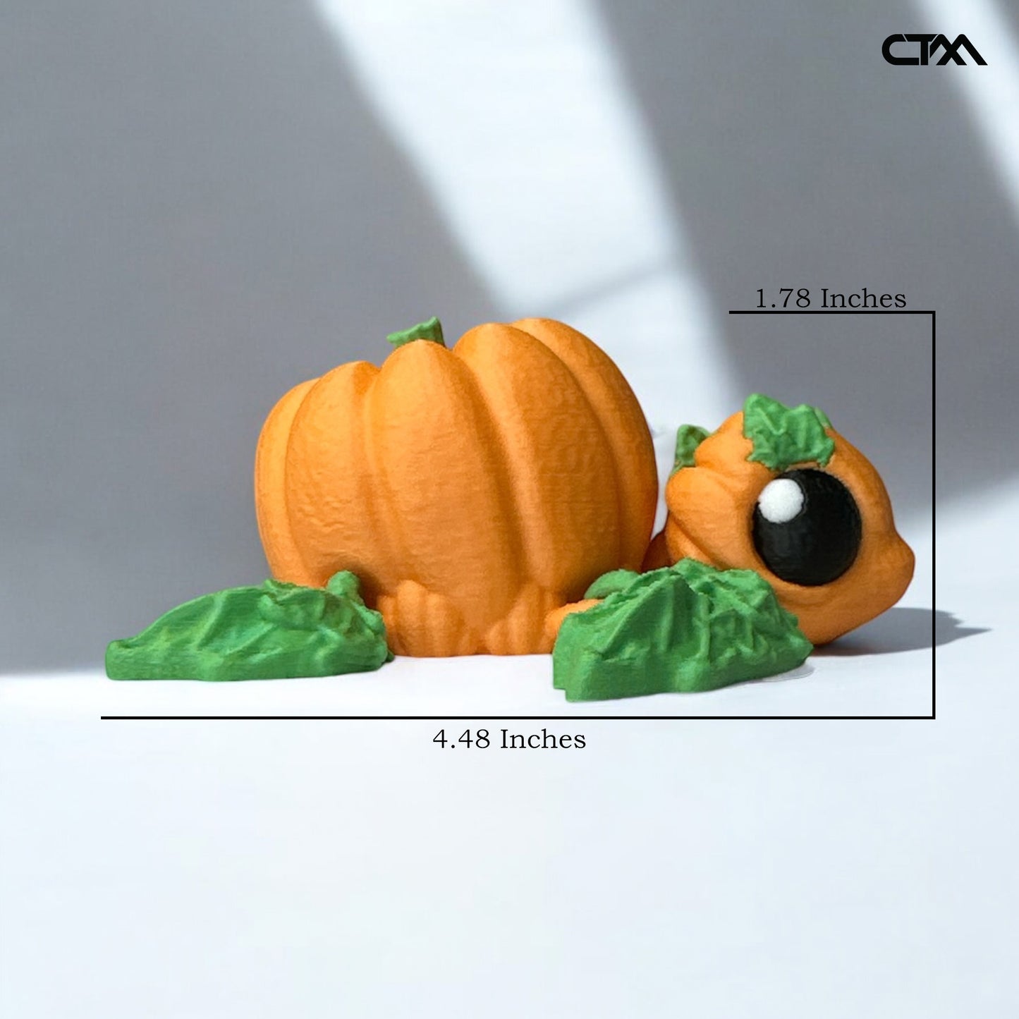 Pumpkin Turtle