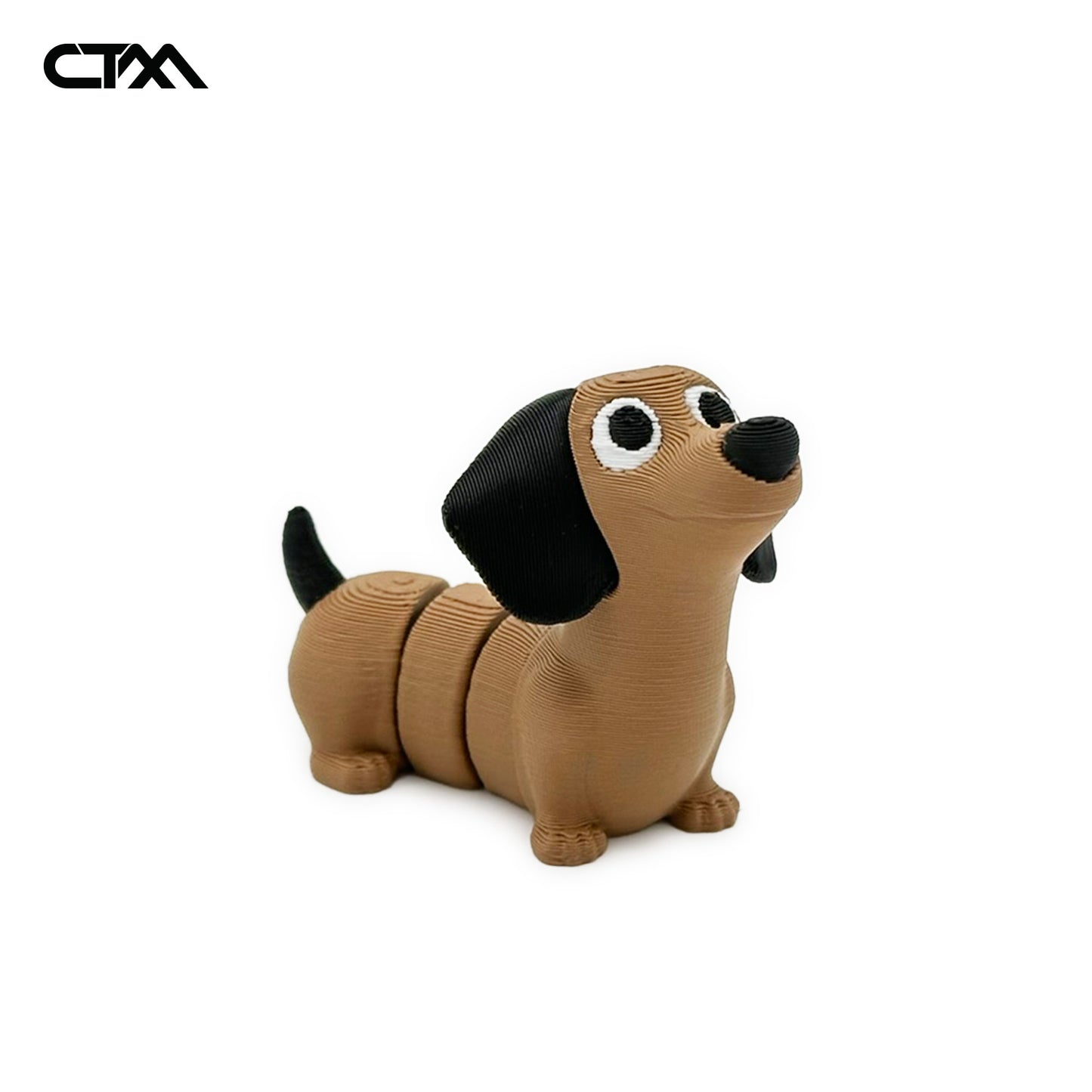 Dog Dachshund