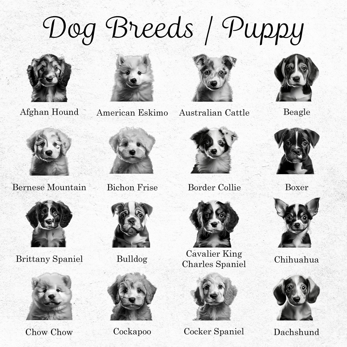 Puppy Breed Slate Coasters