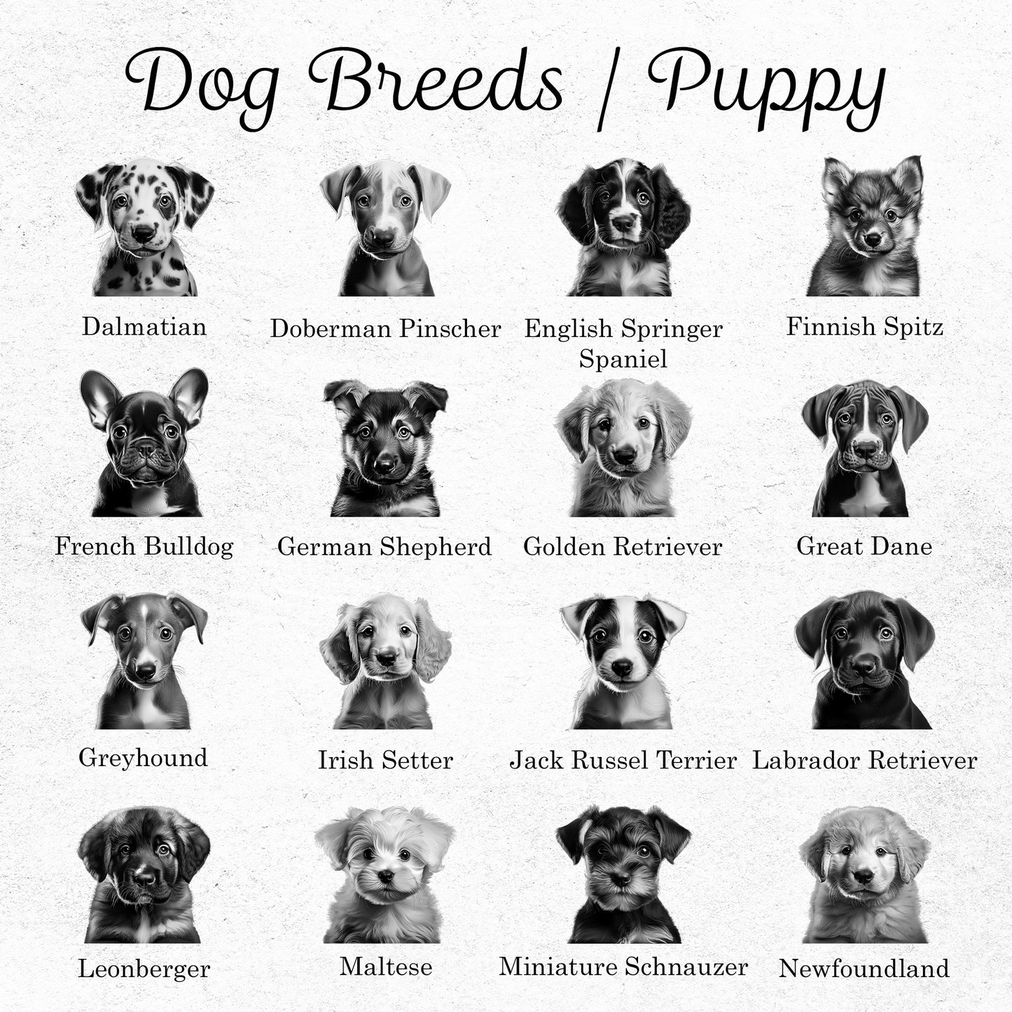 Puppy Breed Slate Coasters