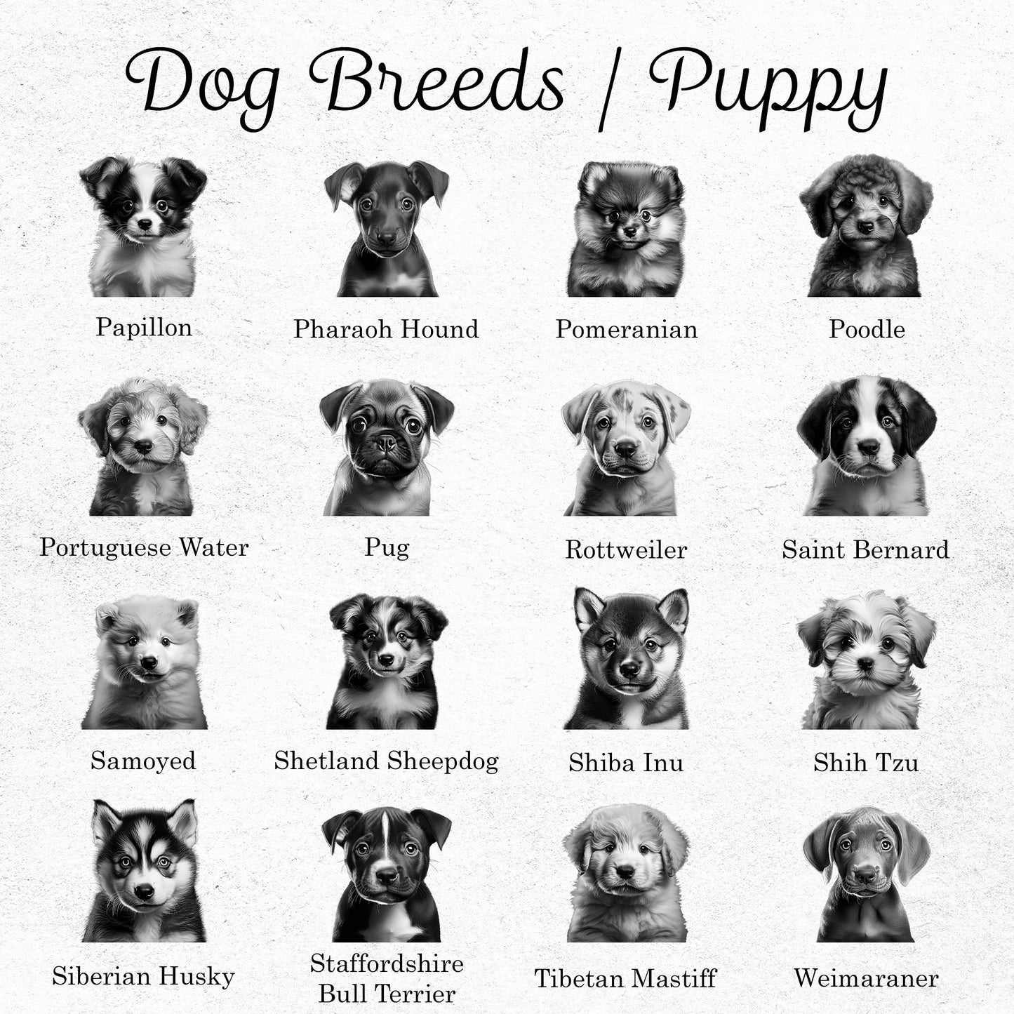 Puppy Breed Slate Coasters