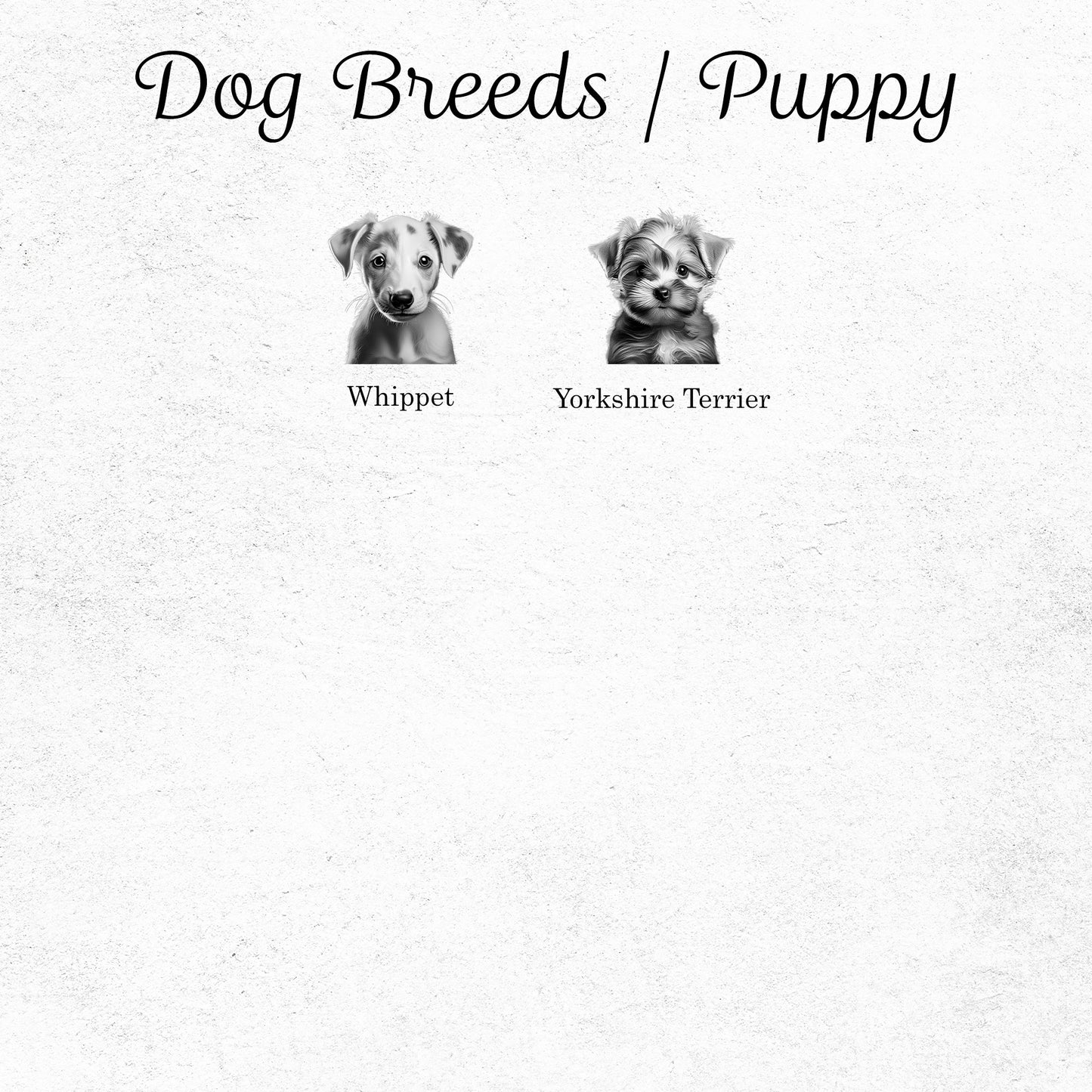 Puppy Breed Slate Coasters