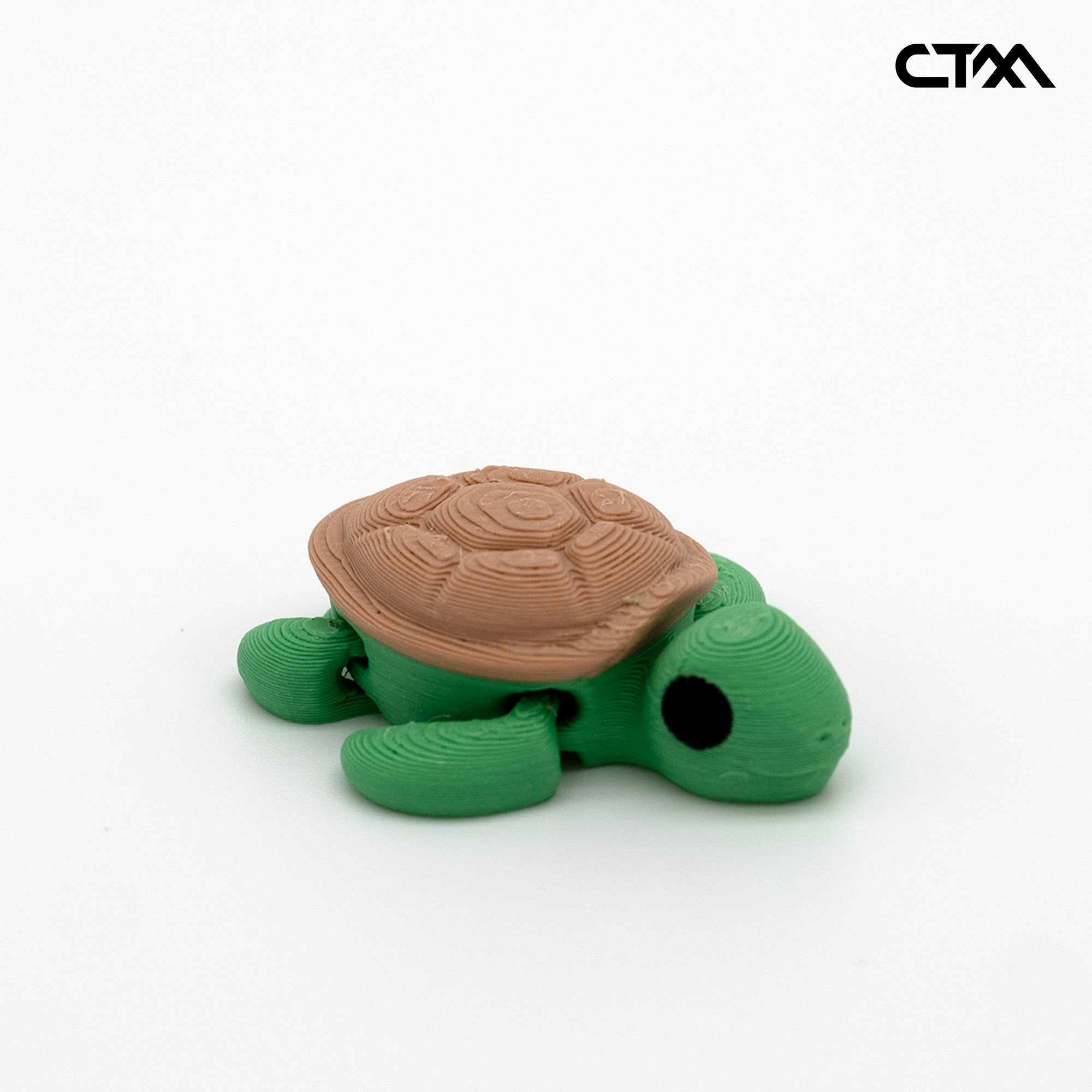 Turtle Mini