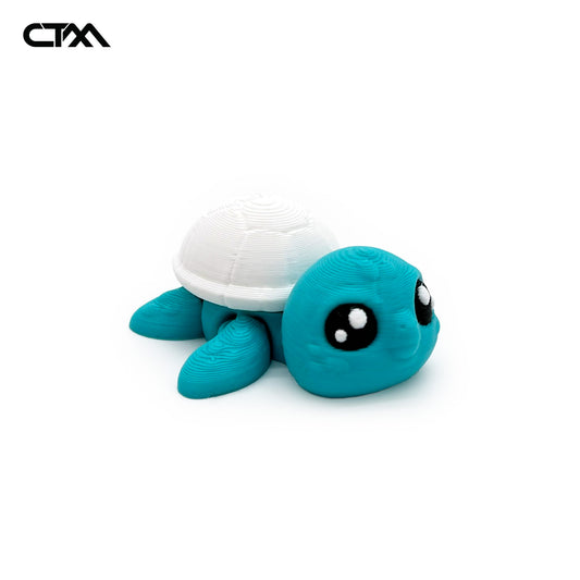 Turtle V2