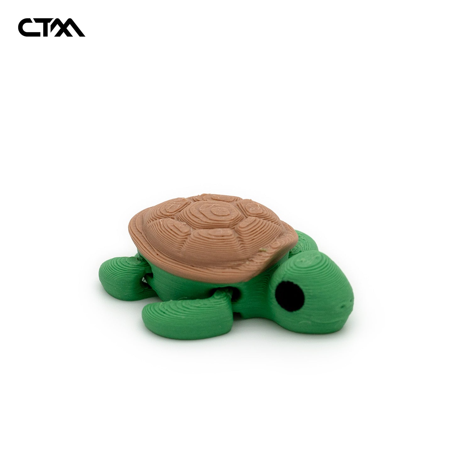 Turtle Mini
