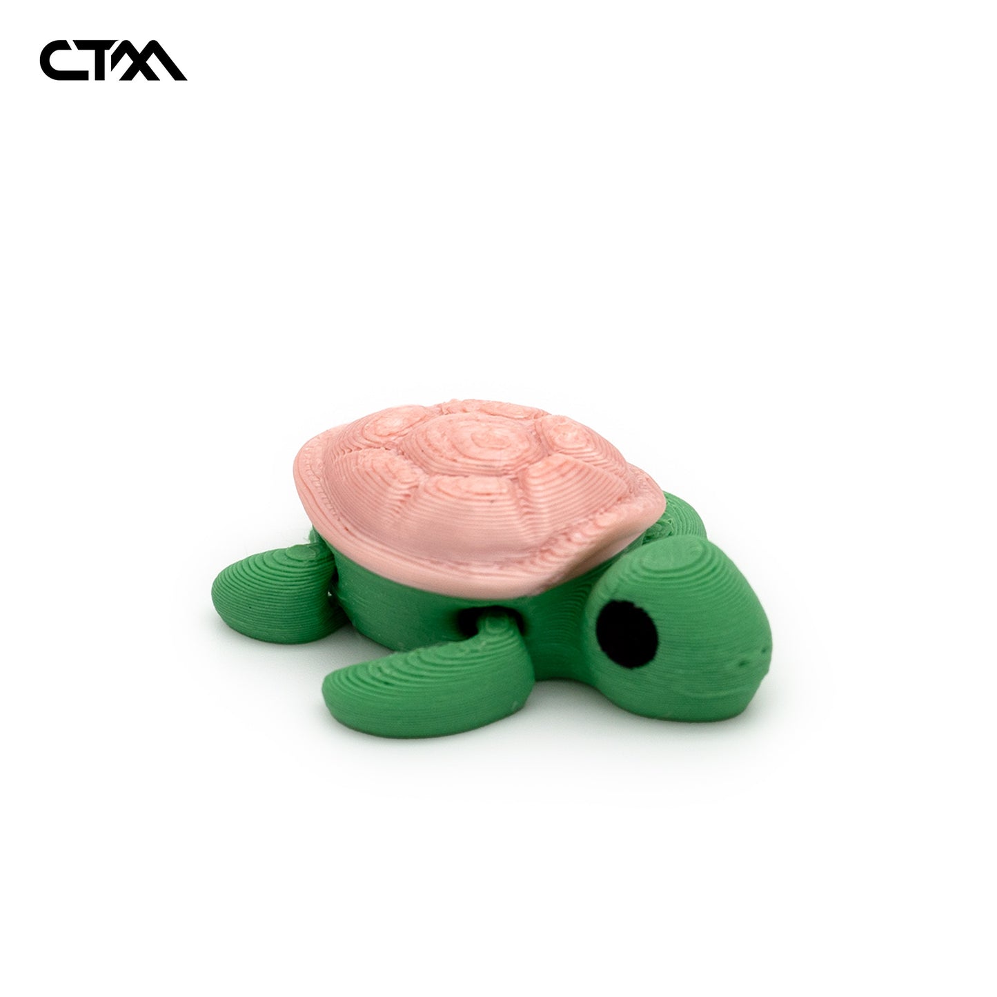 Turtle Mini
